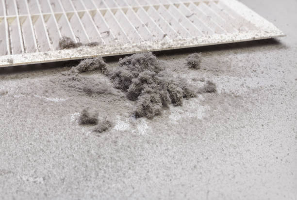 Best Air Duct Cleaning Company Near Me  in Lead, SD